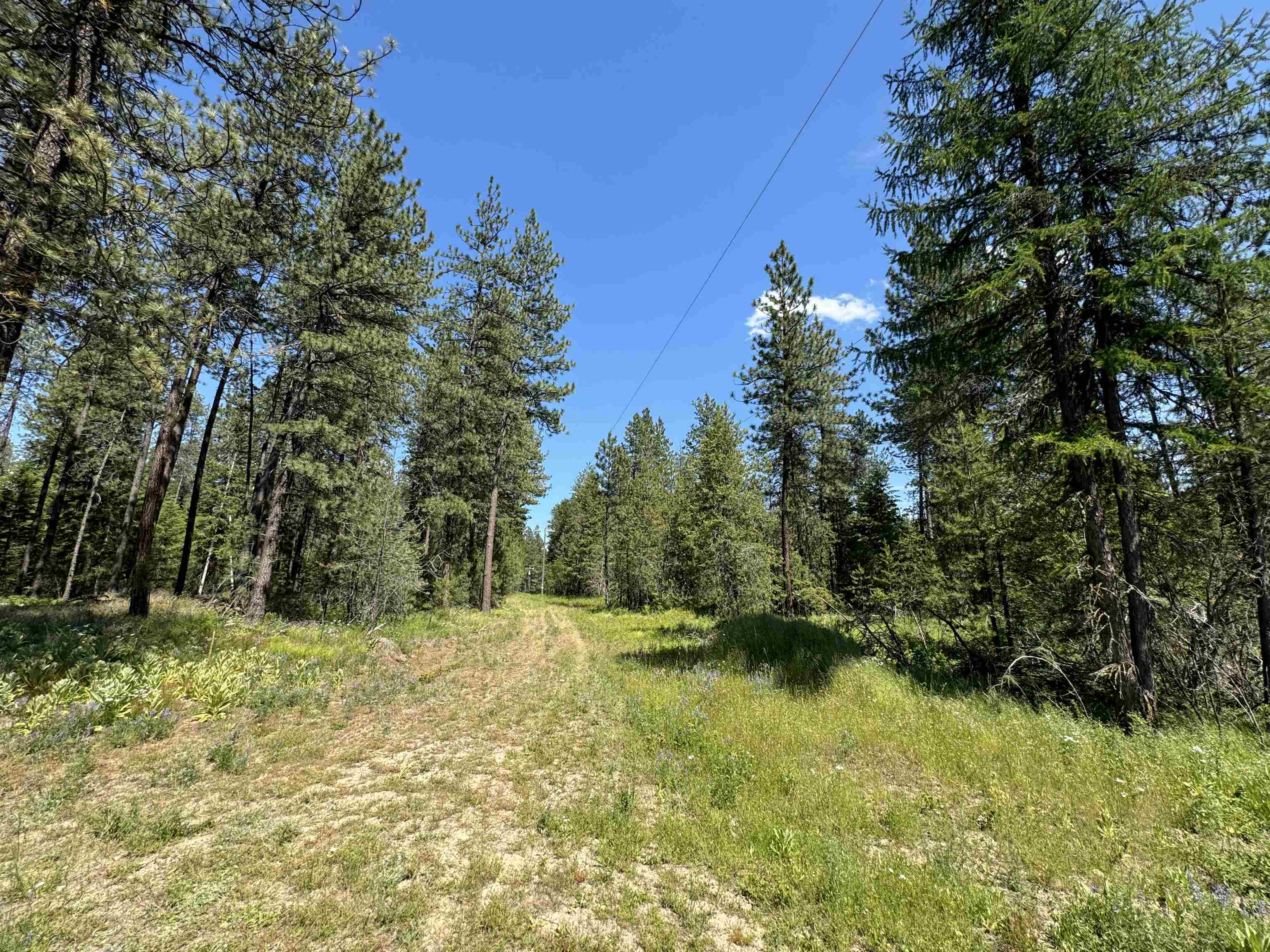 530 North A Street, Unit LOT #4 Springdale, WA 99173 - Photo 11 of 12