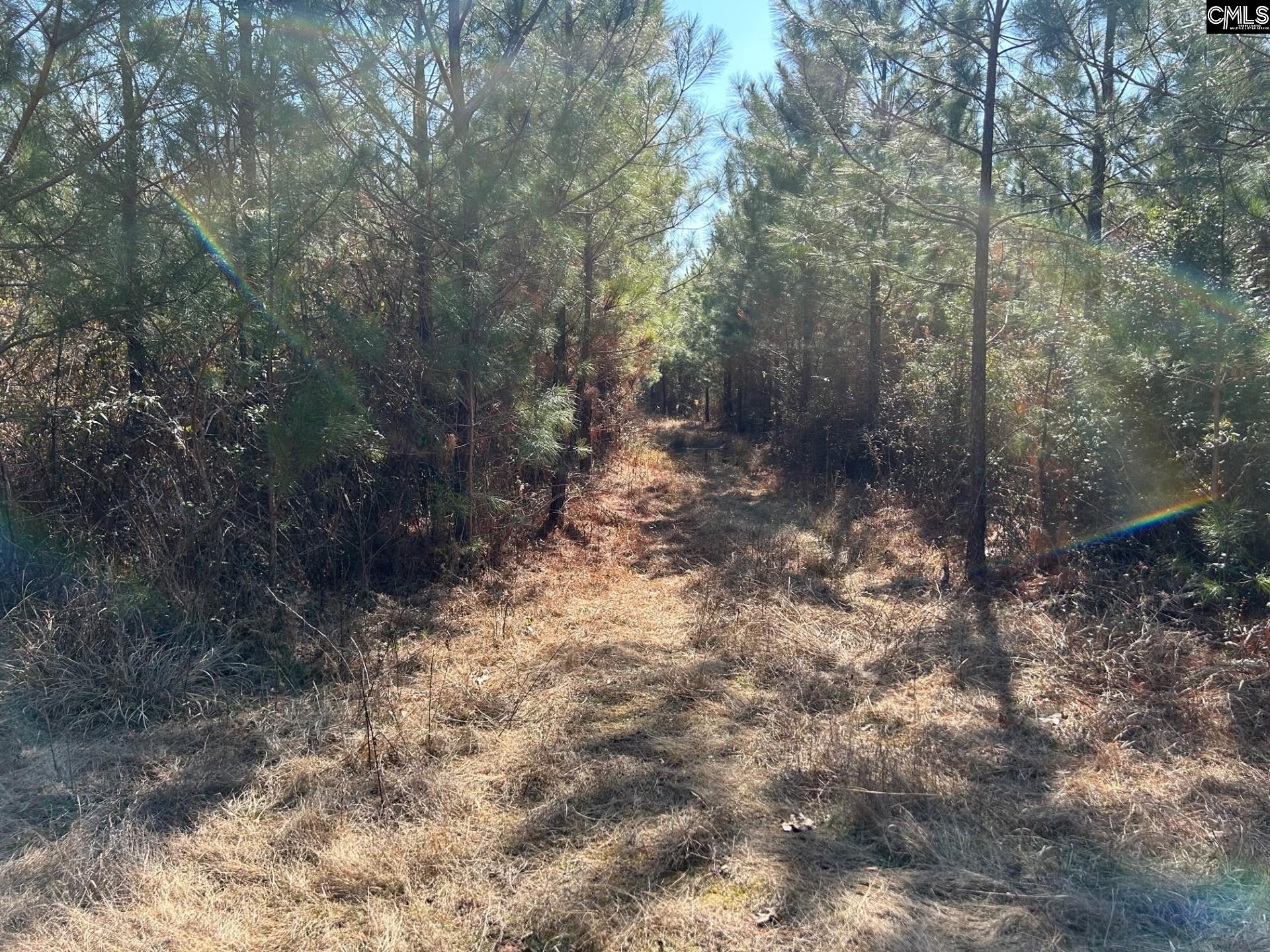 Tbd Crooked Creek Road Chapin, SC 29036 - Photo 18 of 20