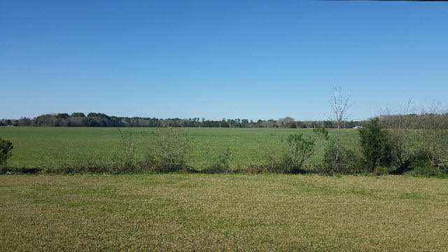 693 Parish Lakes Drive Foley, AL 36535 - Photo 21 of 22