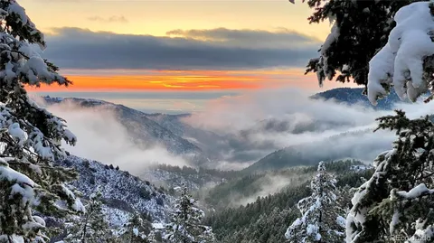 a black and white photo of a picture