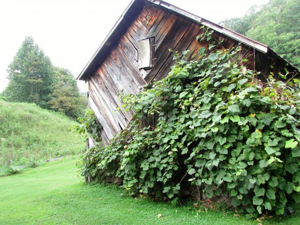 832 Eggers Branch Road Trade, TN 37691 - Photo 14 of 36 Photo 14