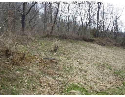 1666 Dupont Road Poca, WV 25159 - Photo 11 of 13 Other.