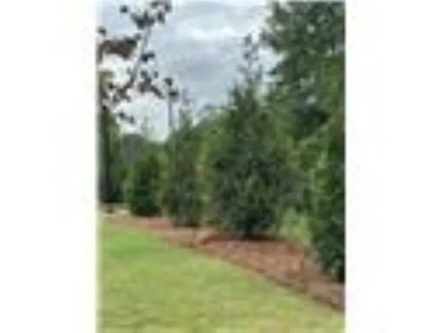 $699,990 | 3404 Archerfield Way, Smyrna, GA 30080