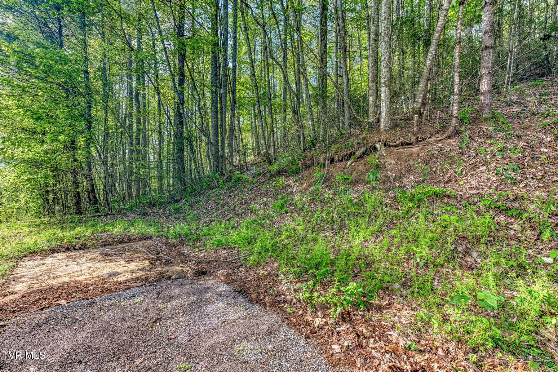 514 Piney Grove Road Hampton, TN 37658 - Photo 33 of 33 514 Piney Grove Rd-32