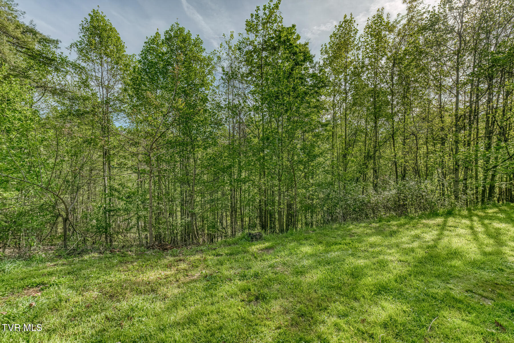 514 Piney Grove Road Hampton, TN 37658 - Photo 5 of 33 514 Piney Grove Rd-31
