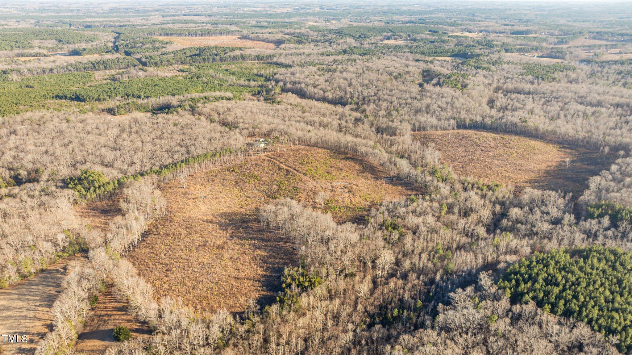 End Tudy Road Bullock, NC 27507 - Photo 4 of 20 4-web-or-mls-DJI_0316