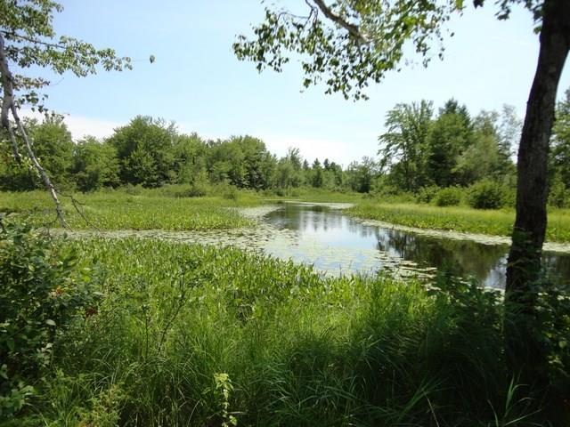 12 Bog Road Belgrade, ME 04917 - Photo 3 of 15 Photo