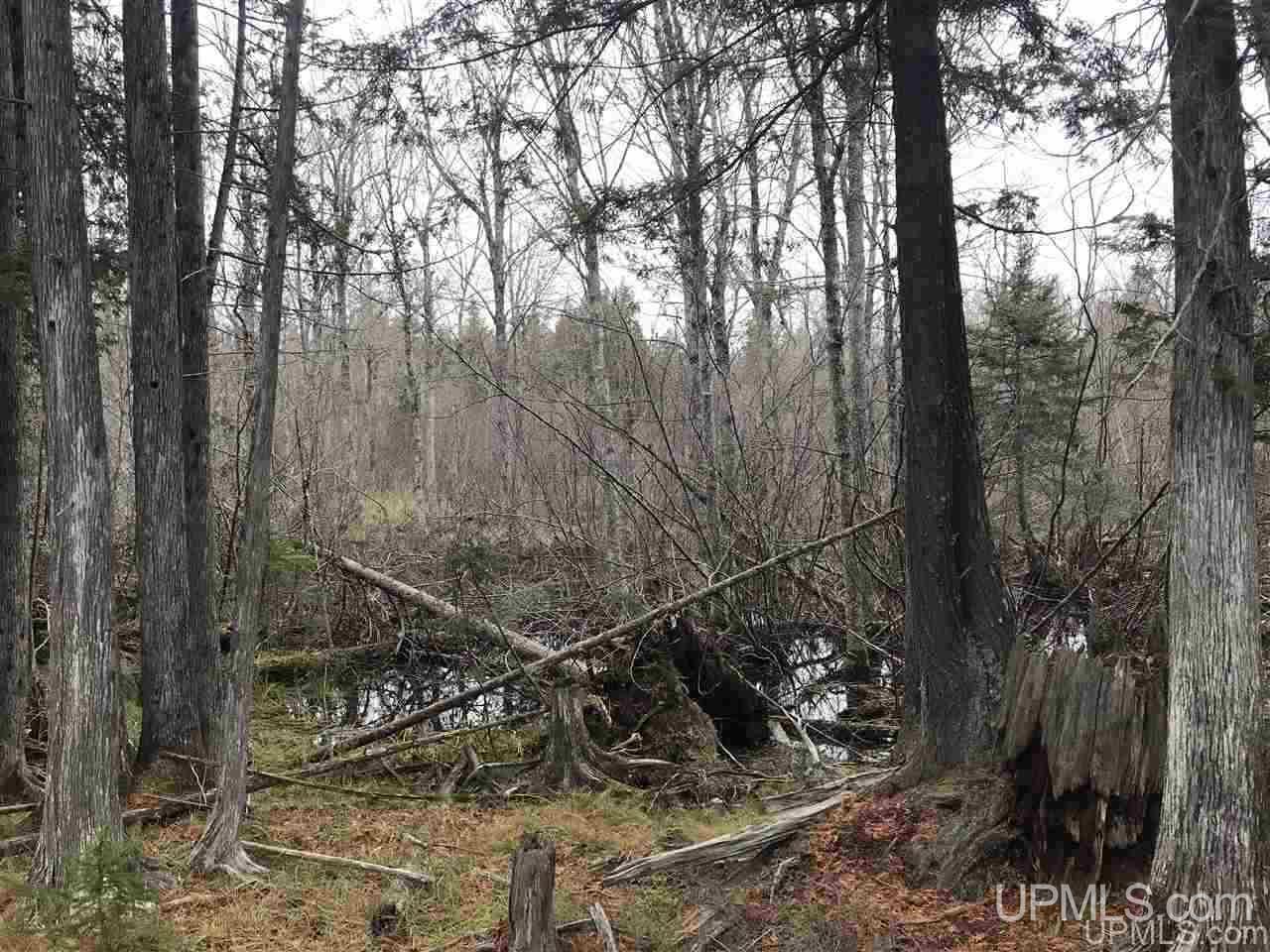 Tbd Off River Road, Unit 2 Hermansville, MI 49847 - Photo 16 of 34