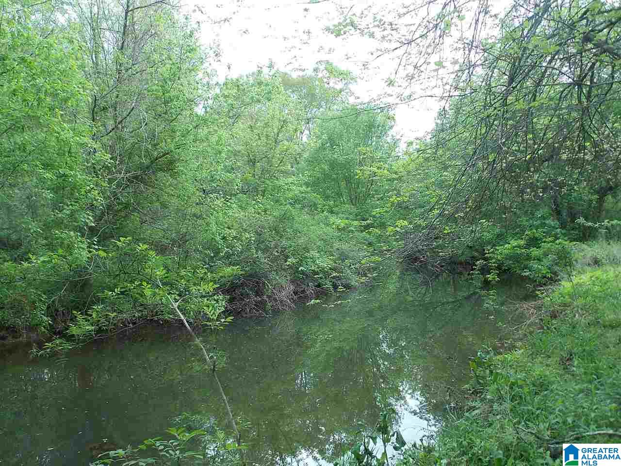 1184 Reid Road Oneonta, AL 35121 - Photo 20 of 24