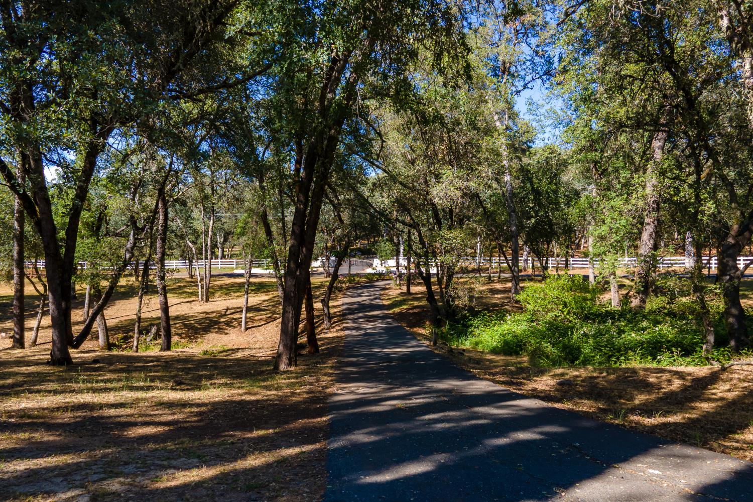 3300 Ponderosa Road Shingle Springs, CA 95682 - Photo 39 of 44
