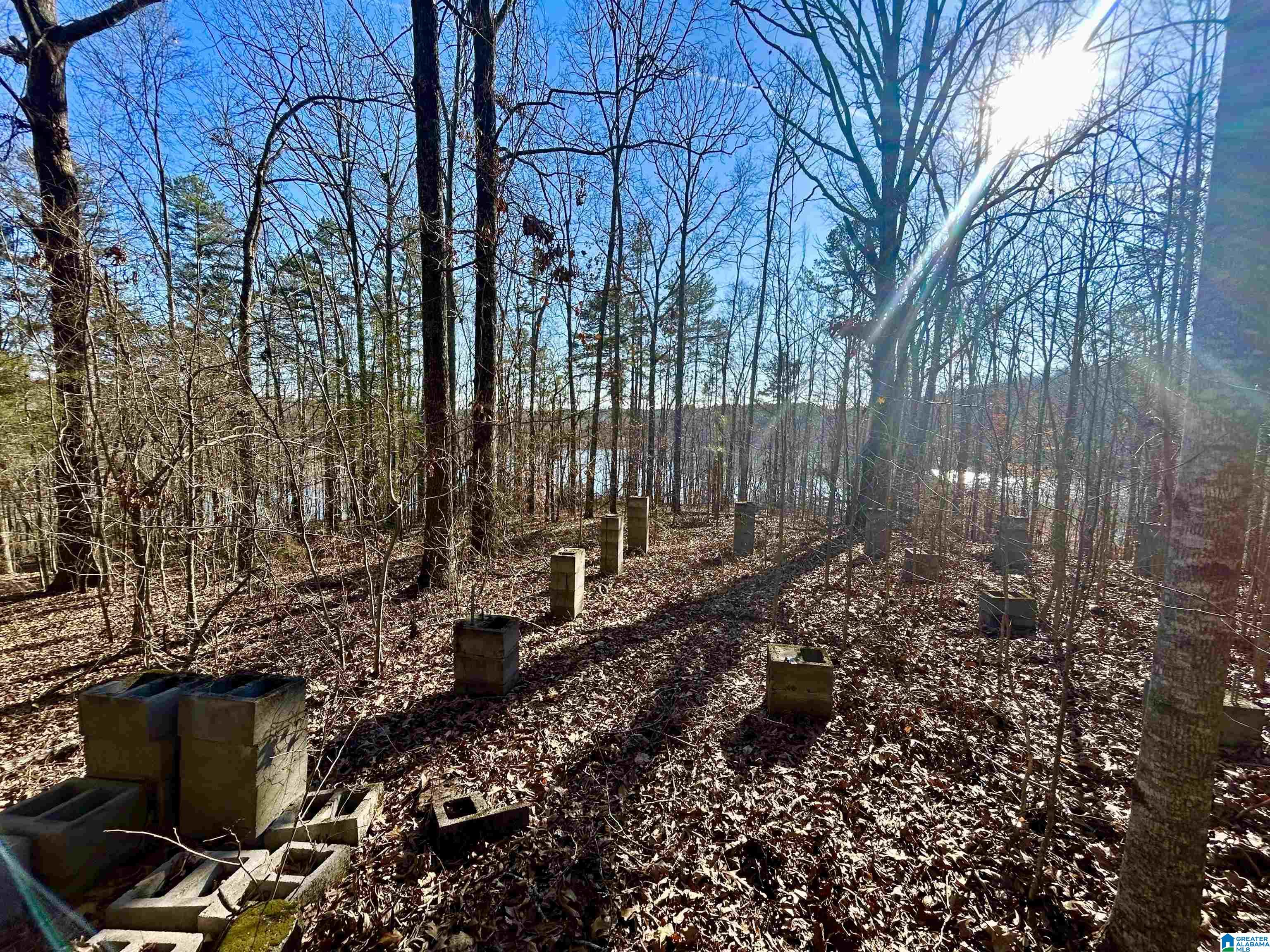 0 Olive Branch Road, Unit 25 Ashland, AL 36251 - Photo 7 of 15