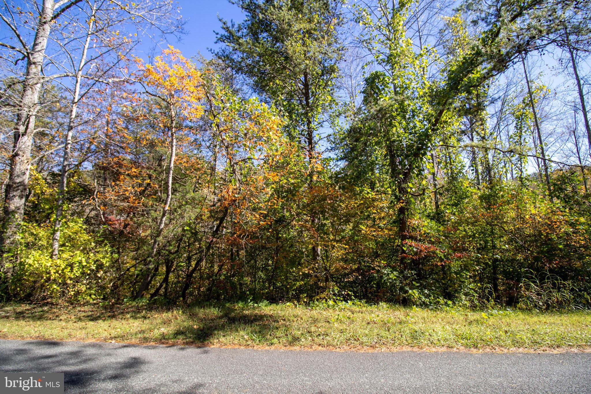 Republican Church, Unit 2 Ferrum, VA 24088 - Photo 34 of 48 a view of a yard with large trees