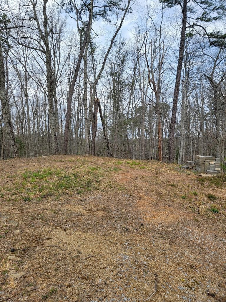 2542 Grassy Branch Road Sevierville, TN 37876 - Photo 3 of 6