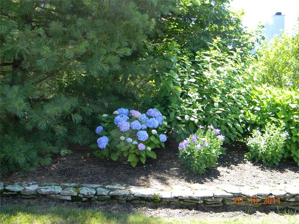 20 Old Town Road Beverly, MA 01915 - Photo 23 of 29