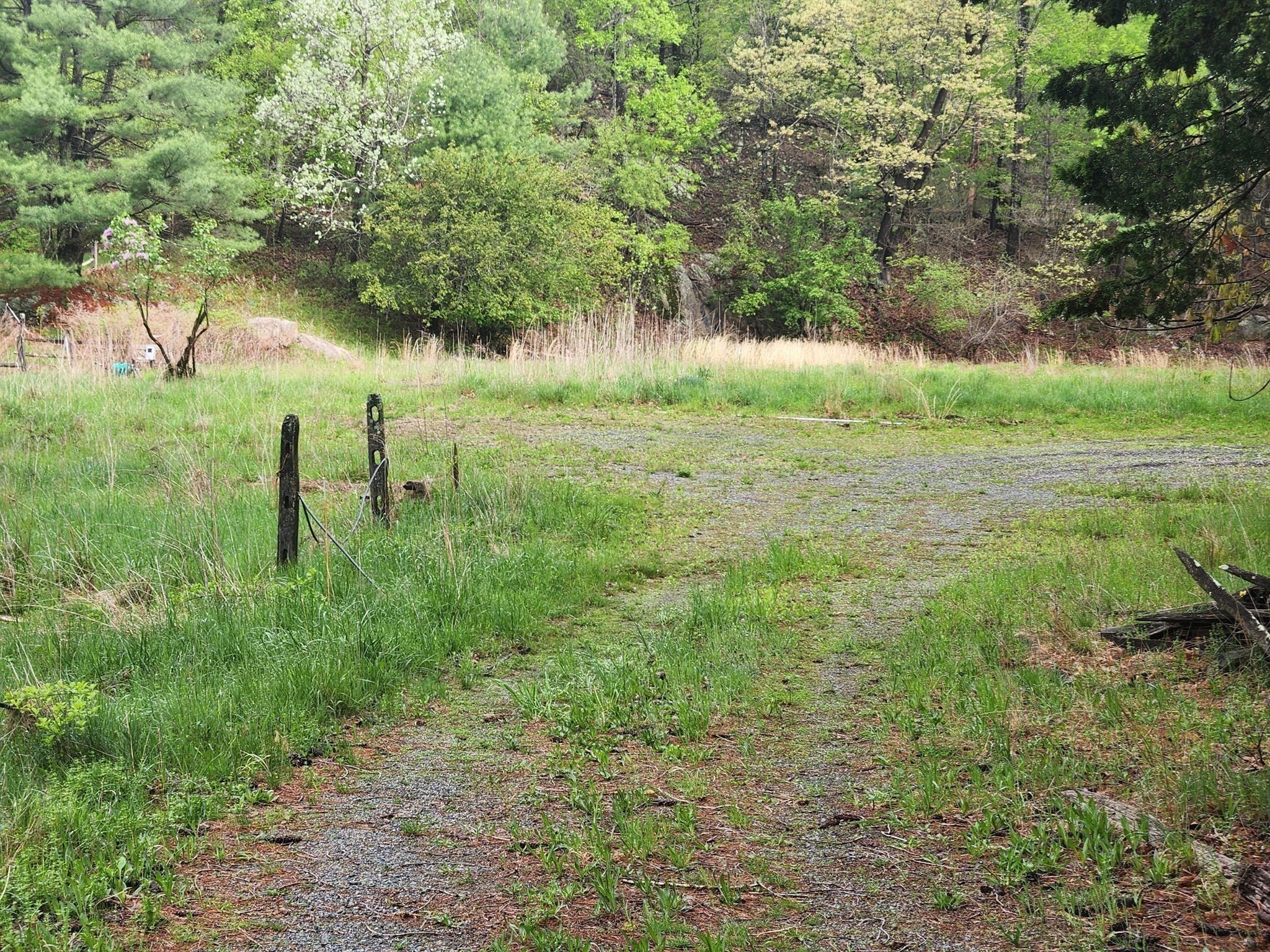65 Farm Road Sherborn, MA 01770 - Photo 8 of 14 Gallery Image 8
