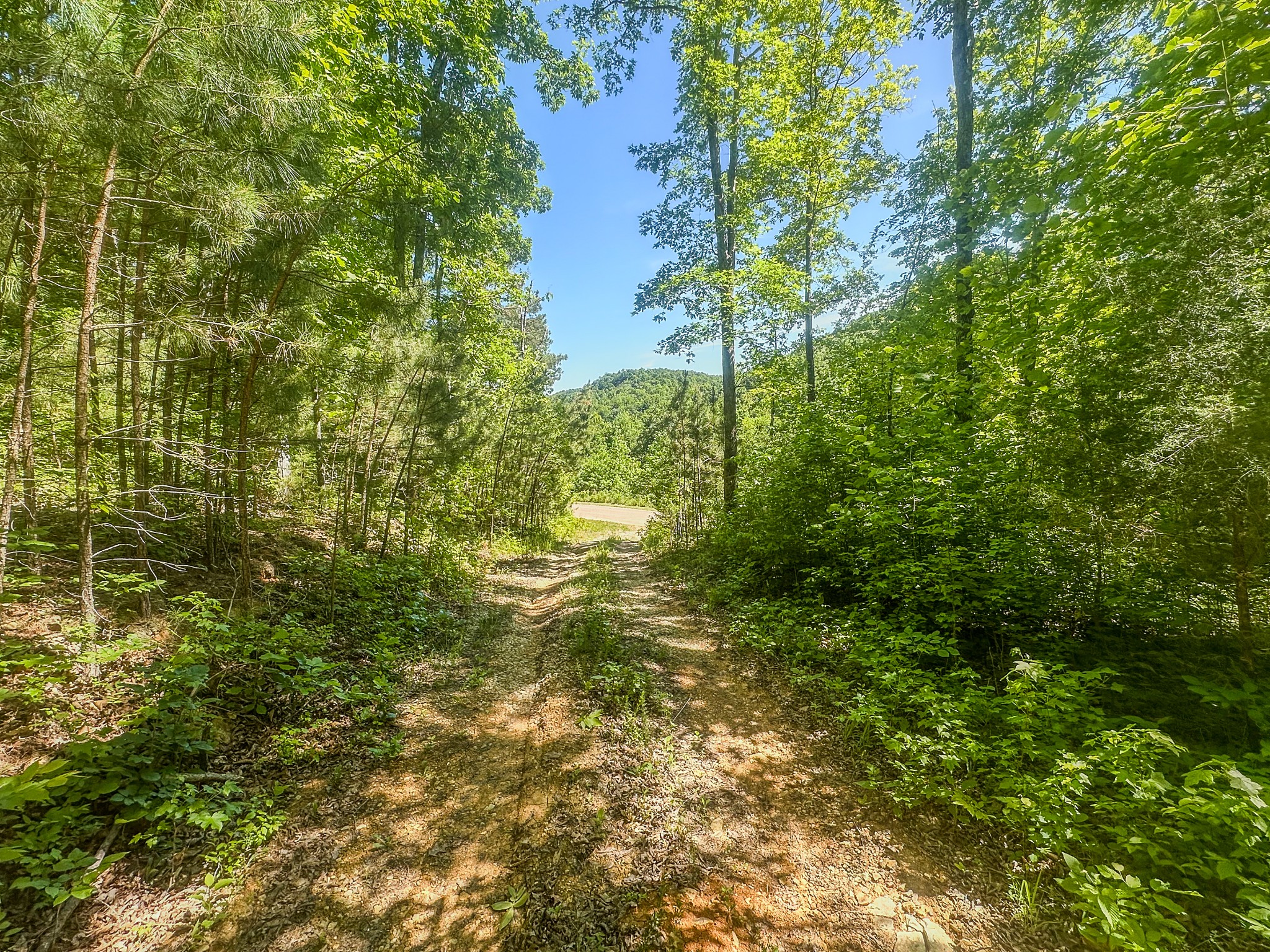 0 Mayberry Prong Road Linden, TN 37096 - Photo 13 of 24