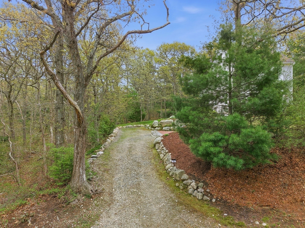 55 Ridgeview Drive Falmouth, MA 02540 - Photo 7 of 32 a view of a pathway with a yard