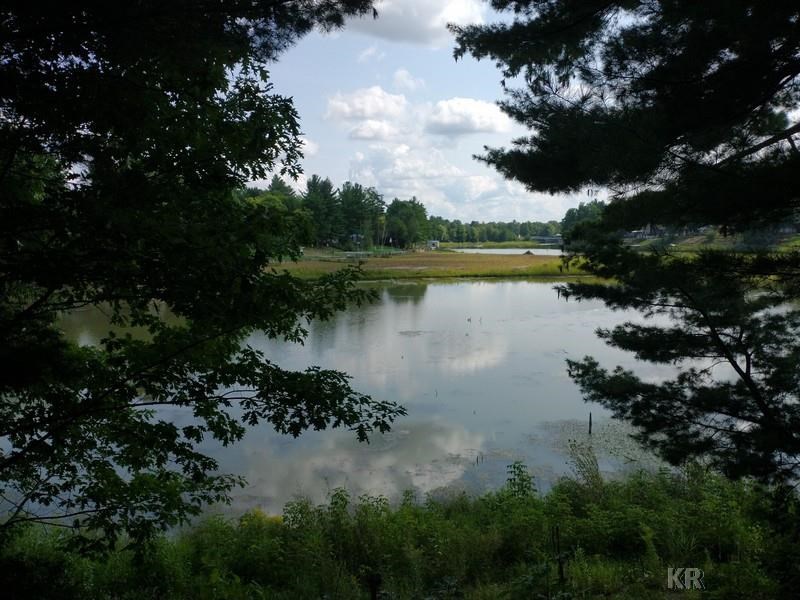 176 New Trail Road Gladwin, MI 48624 - Photo 6 of 34