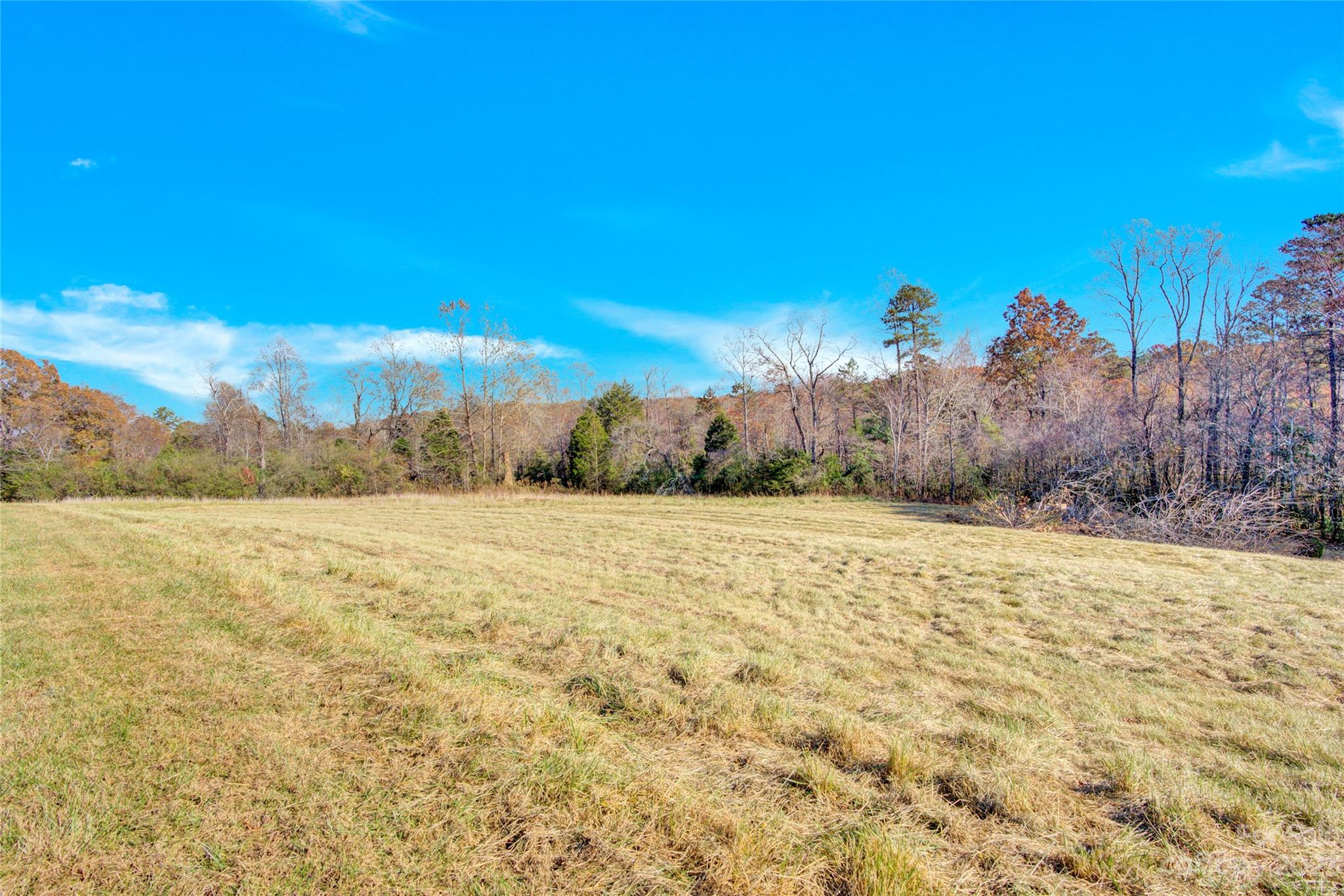 307 Rupard Road Statesville, NC 28625 - Photo 32 of 36 a view of an outdoor space
