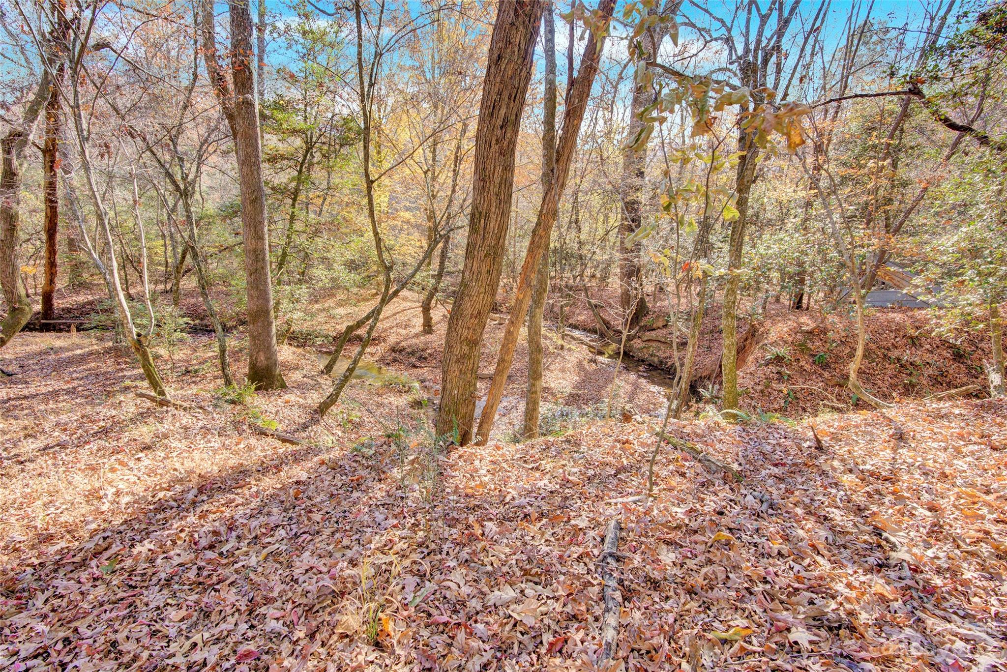 307 Rupard Road Statesville, NC 28625 - Photo 33 of 36 a backyard of a house with lots of green space