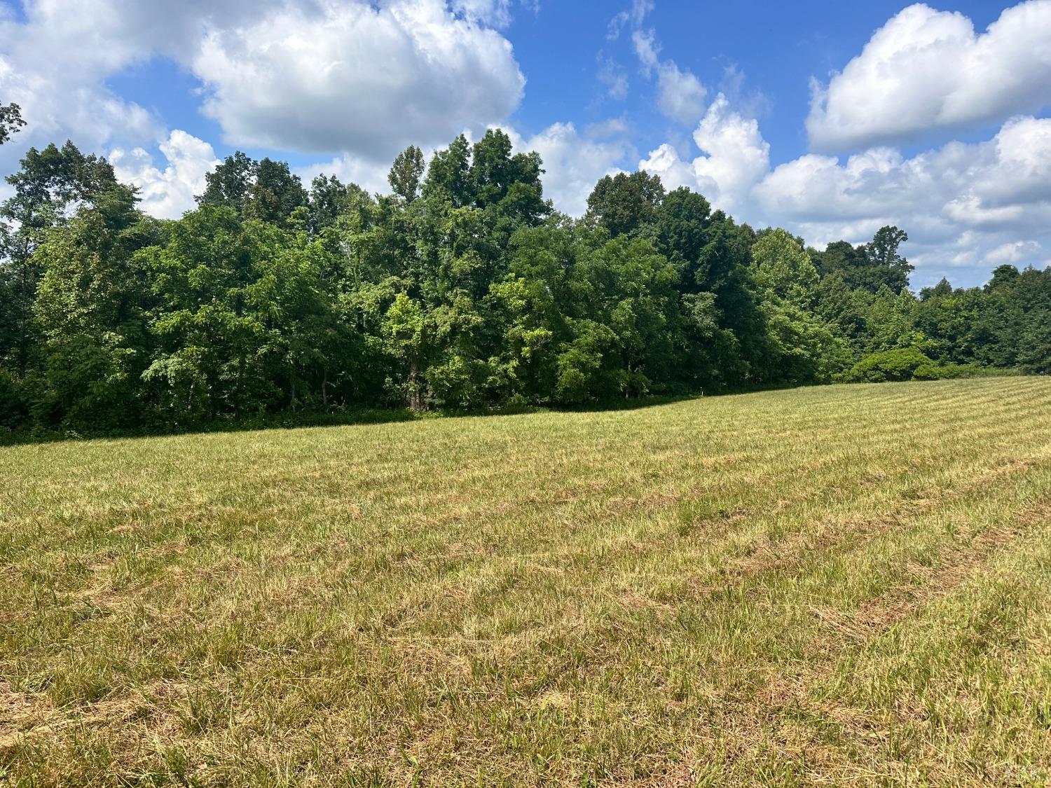 1 Lime Plant Road Appomattox, VA 24522 - Photo 3 of 5 Gallery Image 3