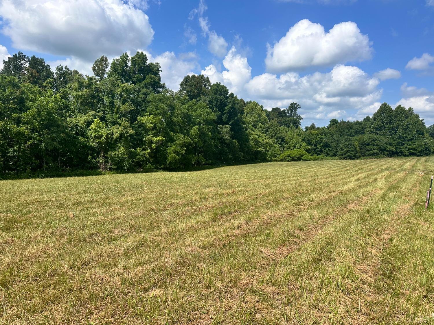 1 Lime Plant Road Appomattox, VA 24522 - Photo 4 of 5 Gallery Image 4
