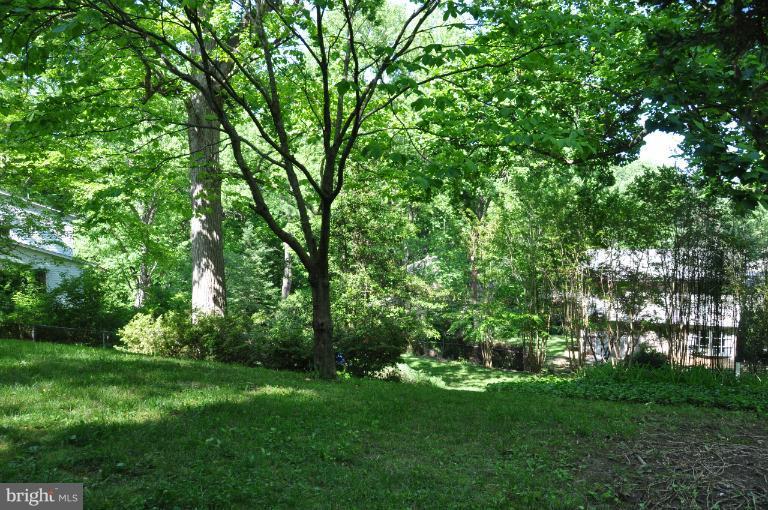 5227 Perth Court Springfield, VA 22151 - Photo 3 of 21 Backyard