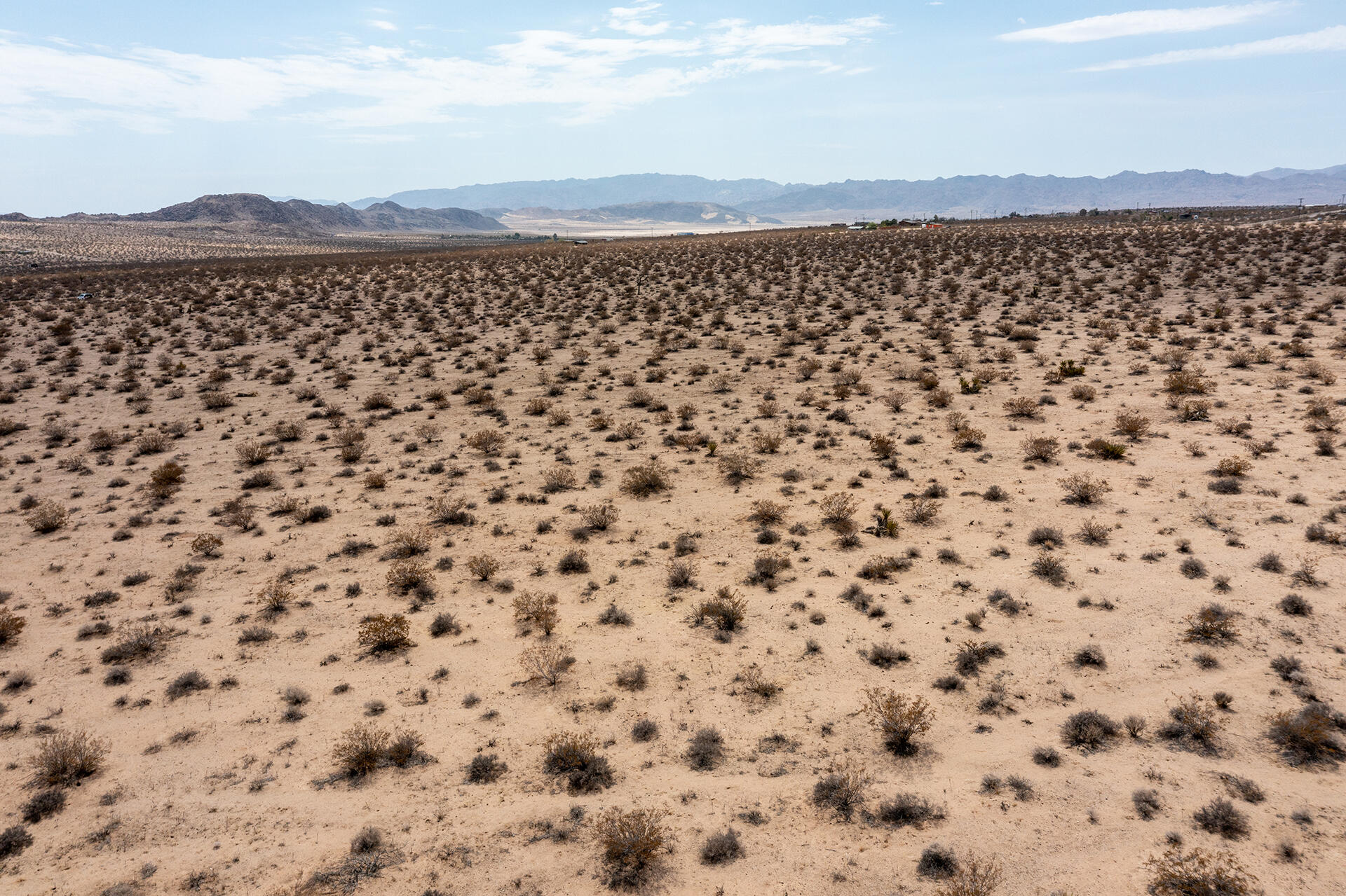 0 Mt Nebo Road Joshua Tree, CA 92252 - Photo 6 of 17 a view of a garden