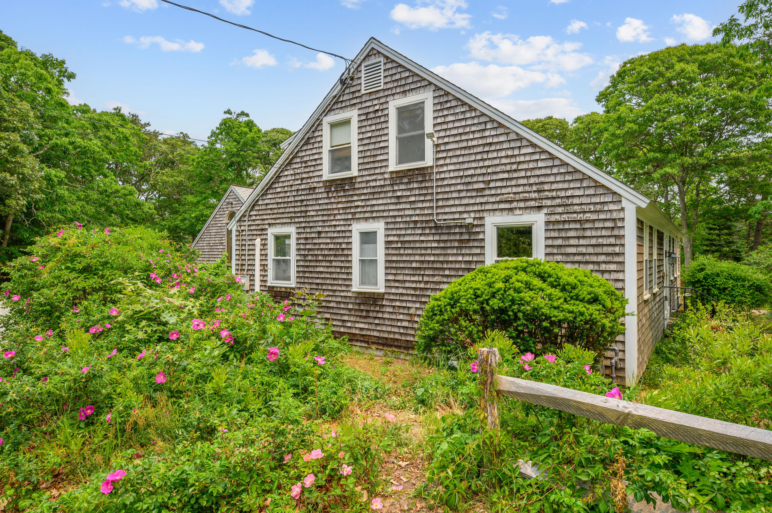 15 Ellerslie Road Orleans, MA 02653 - Photo 39 of 50 Beach roses