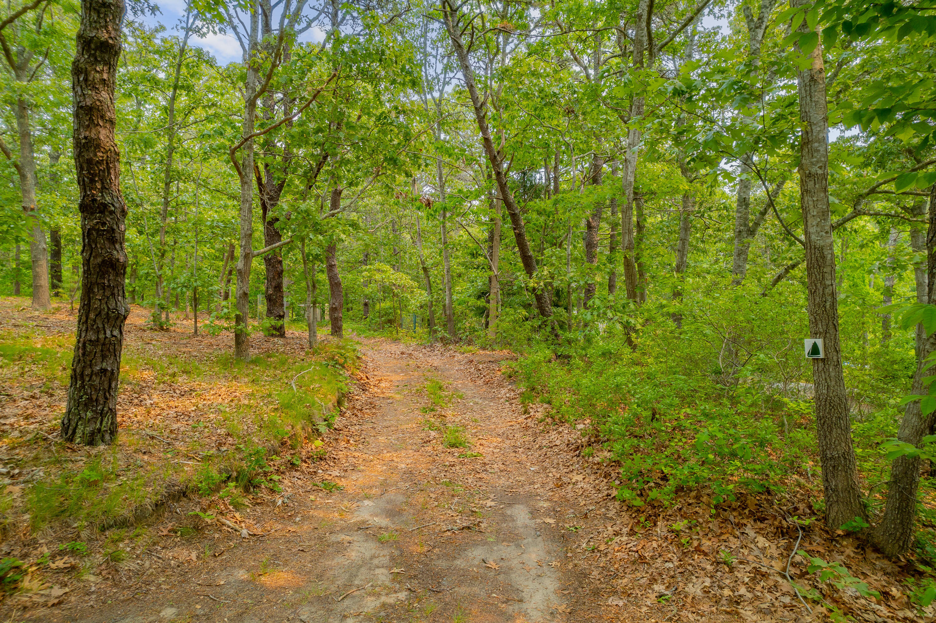 15 Ellerslie Road Orleans, MA 02653 - Photo 47 of 50 Path to water