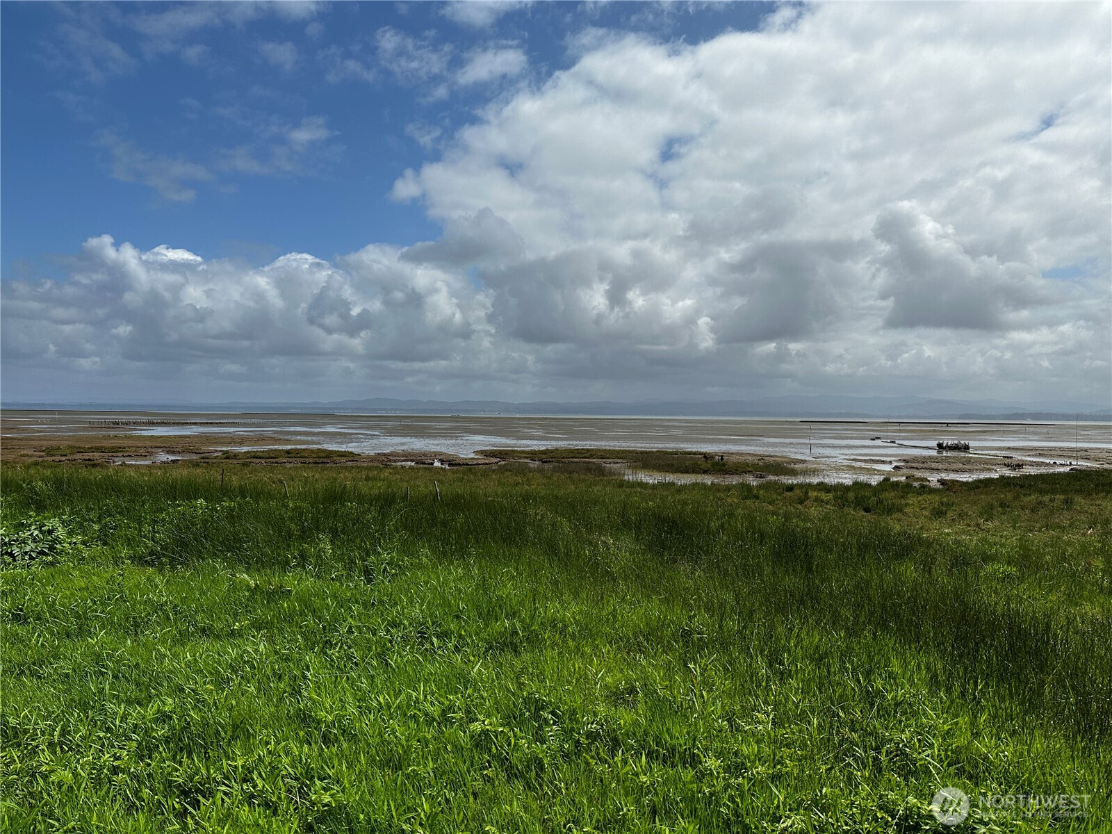 31010 Sandridge Road Oysterville, WA 98641 - Photo 1 of 5 a view of an ocean and beach