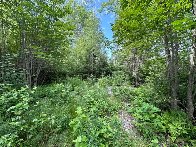 $49,999 | M1-l75a South Lagrange Road, Lagrange, ME 04453