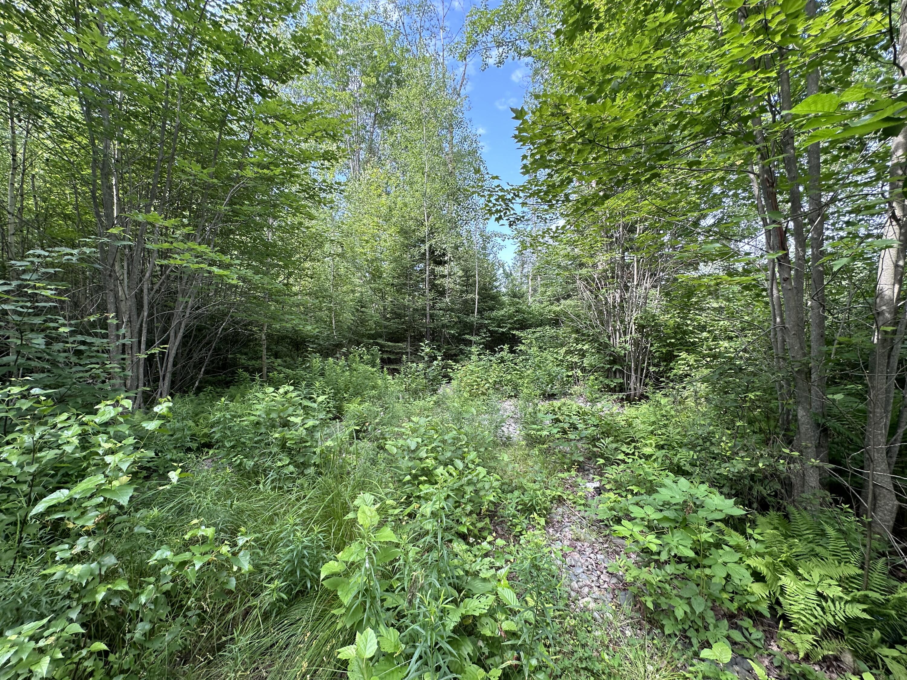 M1-l75a South Lagrange Road Lagrange, ME 04453 - Photo 4 of 8 IMG_7939