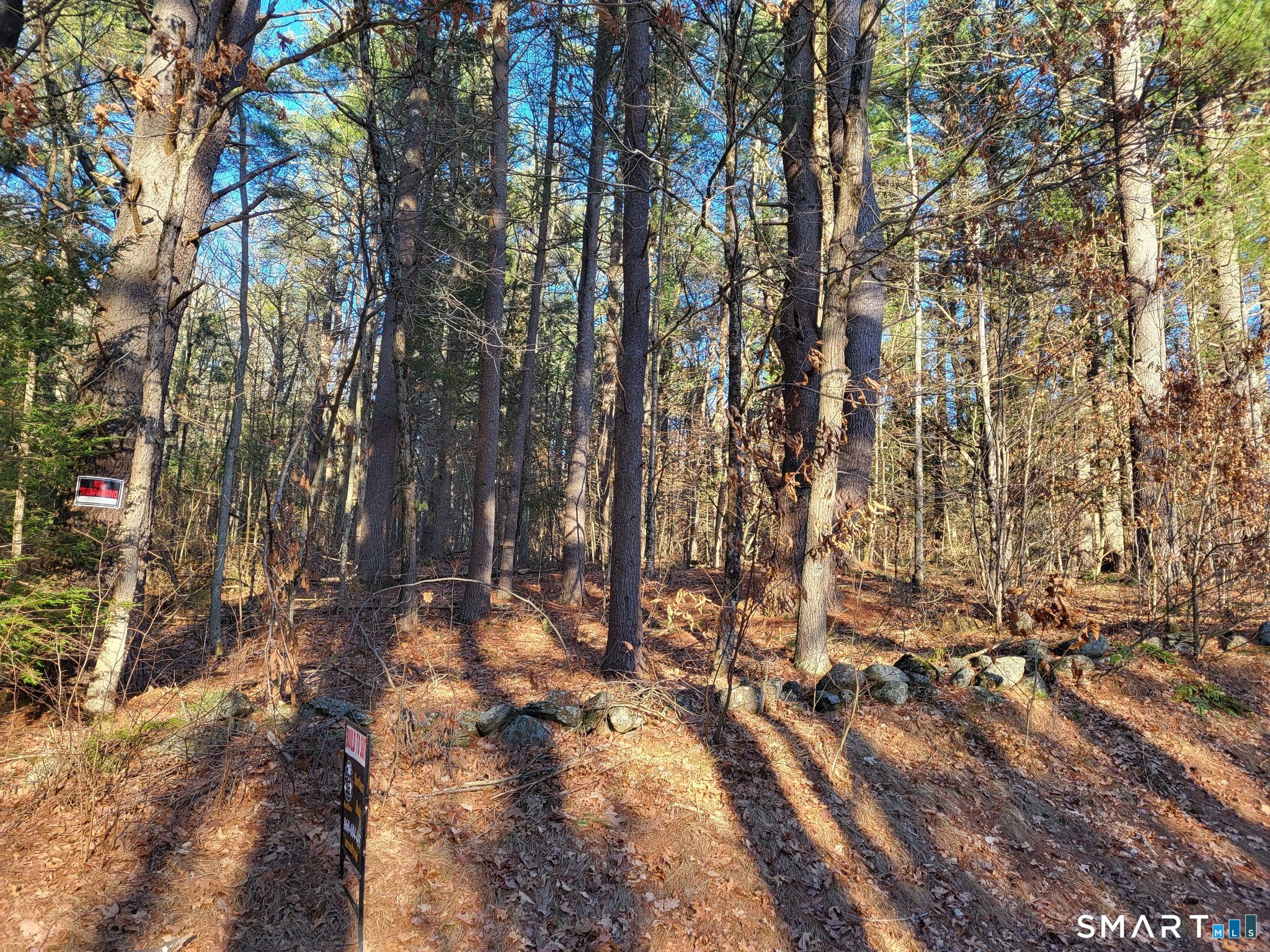 16 Goodell Road Stafford, CT 06076 - Photo 3 of 6