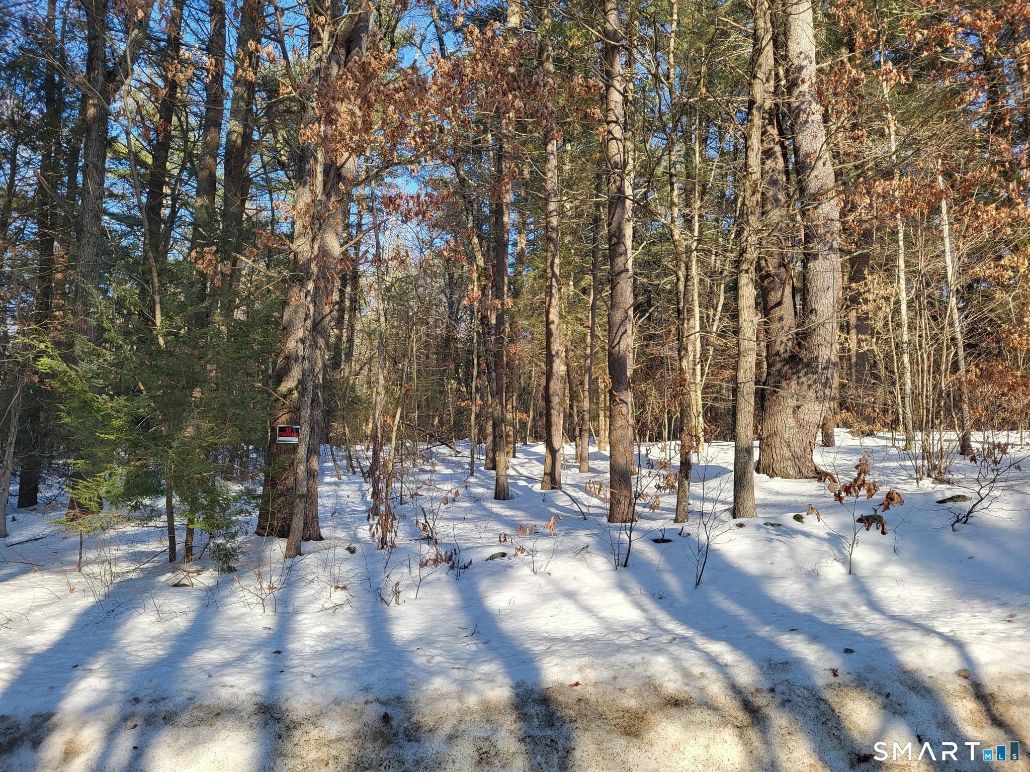 16 Goodell Road Stafford, CT 06076 - Photo 4 of 6
