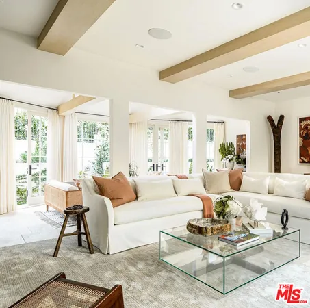 a living room with furniture a rug potted plant and a large window