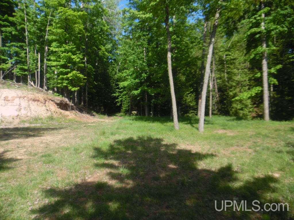 Tbd North Tbd N 75th Road, Unit 6 Gladstone, MI 49837 - Photo 8 of 13