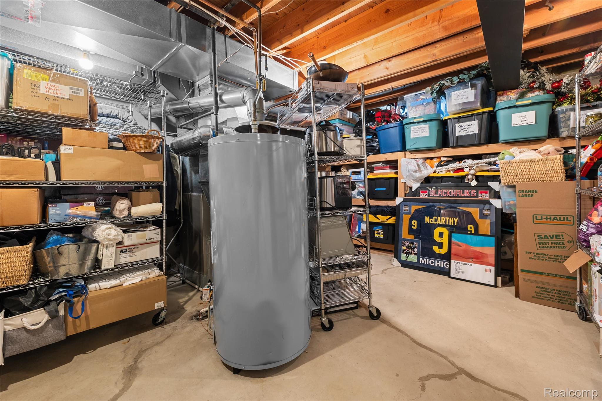 1781 Apple Ridge Court Rochester, MI 48306 - Photo 61 of 79 61 - Basement Storage.jpg