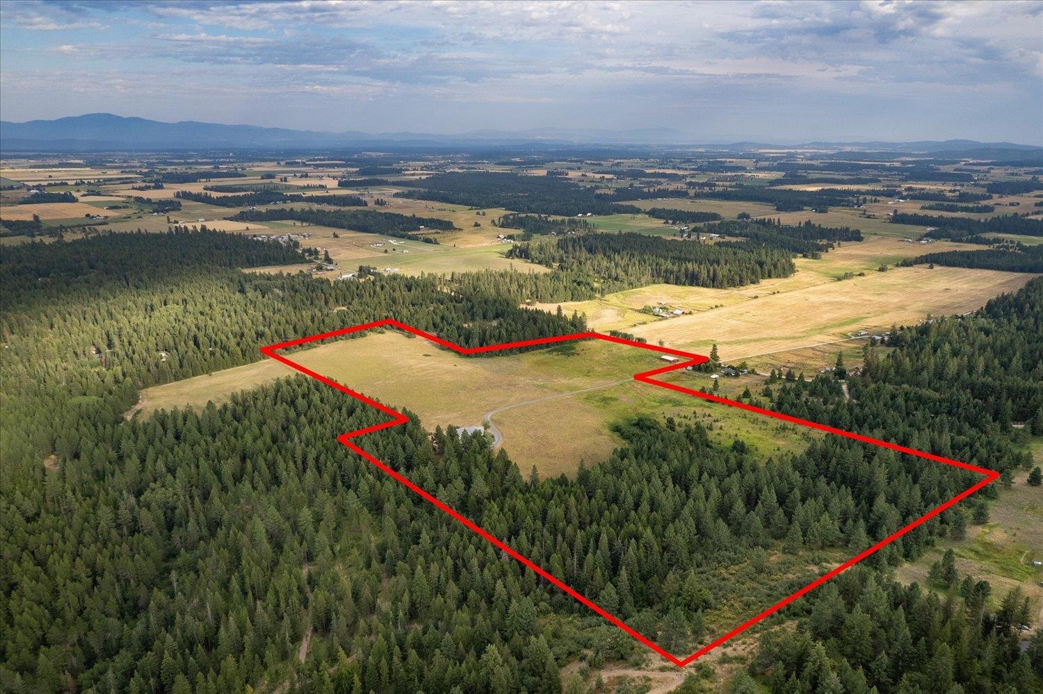 4614 Bellstar Road Clayton, WA 99110 - Photo 50 of 50
