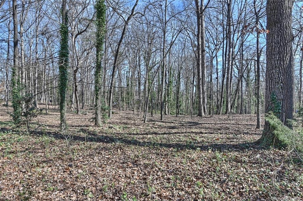 6256 Sharon Hills Road Charlotte, NC 28210 - Photo 42 of 45 a view of a yard with a trees
