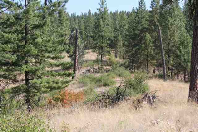 Xx Xx Hidden Road Springdale, WA 99173 - Photo 4 of 8