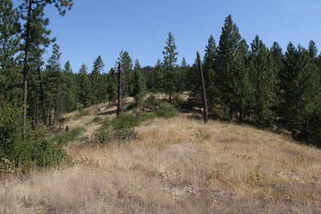 Xx Xx Hidden Road Springdale, WA 99173 - Photo 5 of 8
