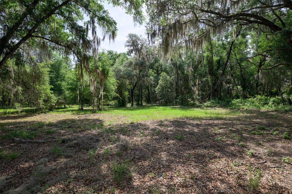 374 Sisco Road Pomona Park, FL 32181 - Photo 23 of 40 a view of outdoor space with trees all around