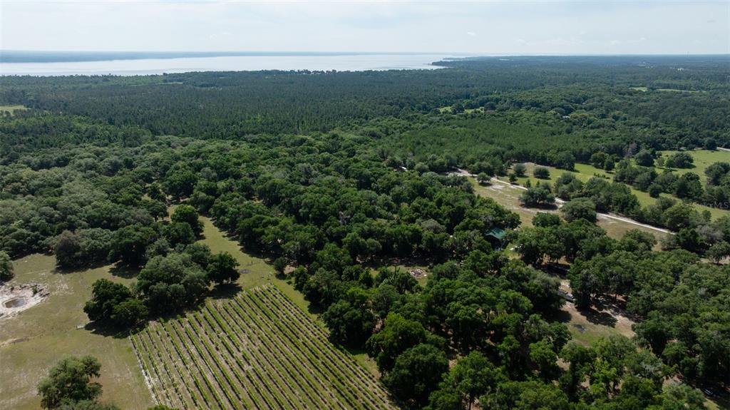 374 Sisco Road Pomona Park, FL 32181 - Photo 30 of 40 an aerial view of house with yard