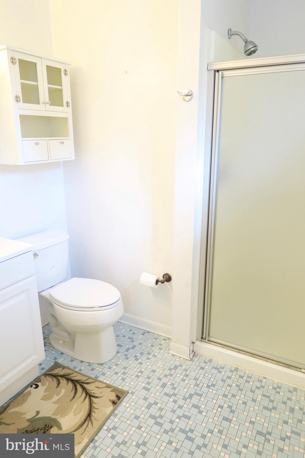 539 Dunkirk Road Baltimore, MD 21212 - Photo 16 of 24 Bath (Master)