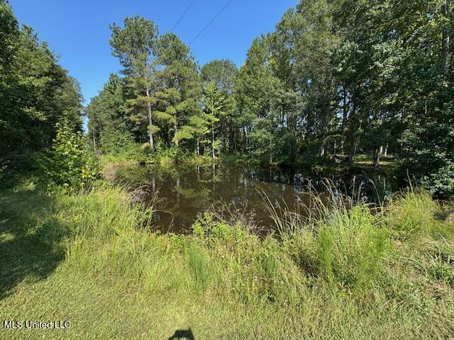 1019 Kennedy Road Magnolia, MS 39652 - Photo 50 of 60 IMG_8236