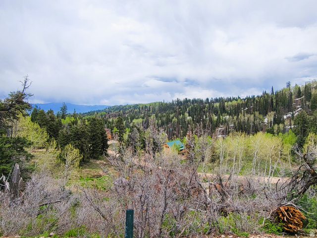 1920 Elk Road, Unit 78 Coalville, UT 84017 - Photo 6 of 16 Expansive forested terrain featuring diverse tree species, including evergreens and deciduous trees