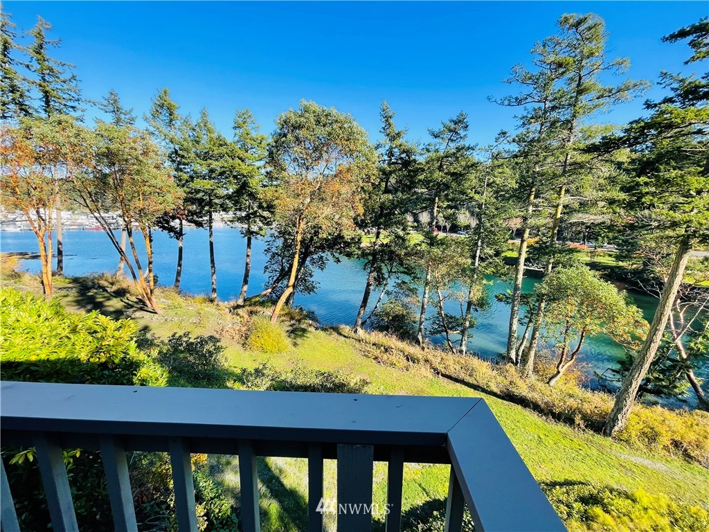 a view of yard from a balcony