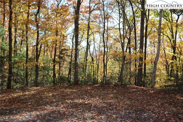 $25,000 | Lot 7 Charlie Warwick Road, Fleetwood, NC 28626