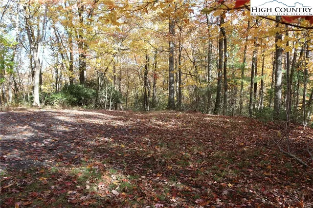 $25,000 | Lot 7 Charlie Warwick Road, Fleetwood, NC 28626
